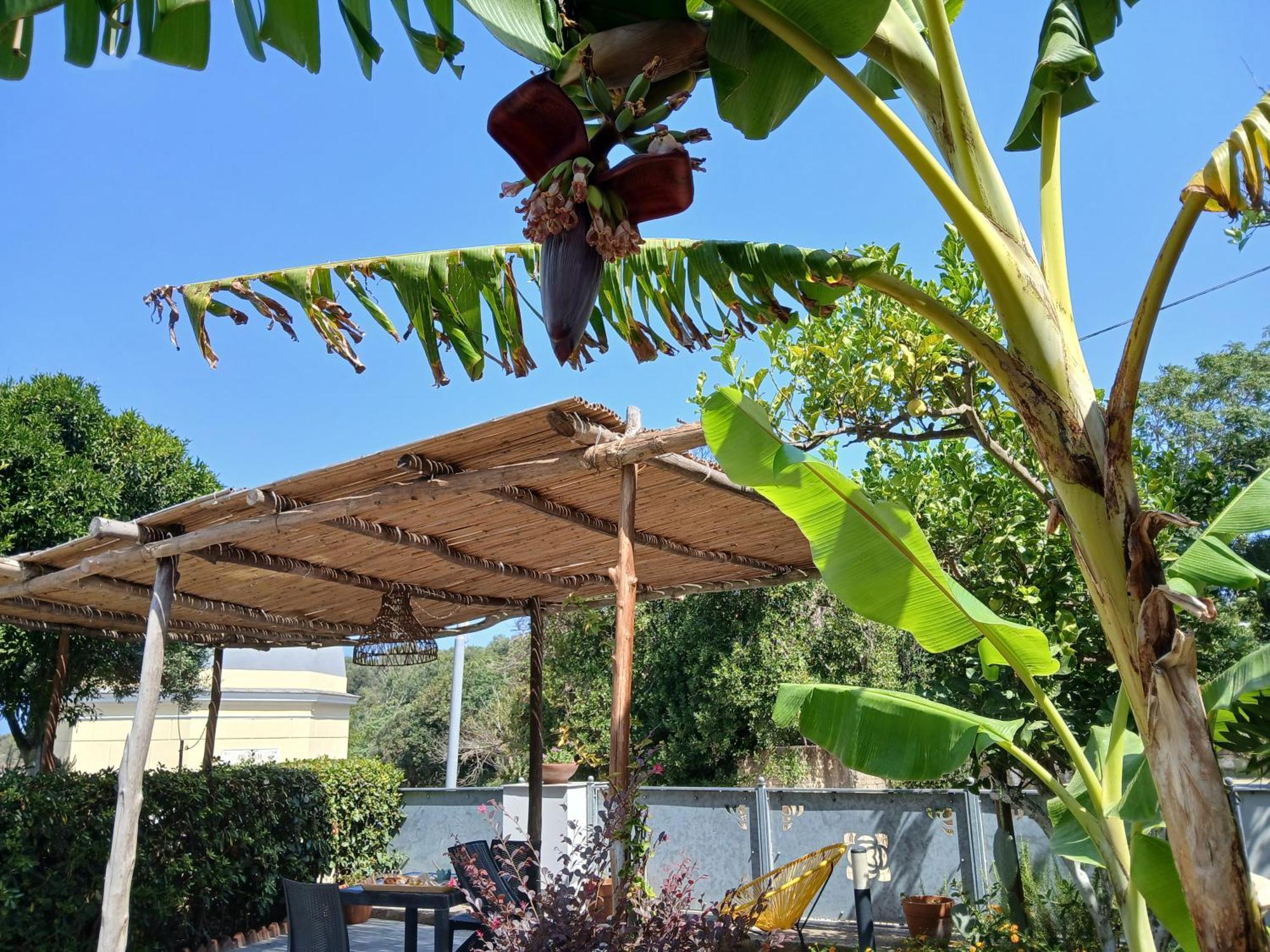 Sonnino B&B Procida Cameră foto